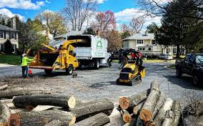 Best Hedge Trimming  in Plum, PA