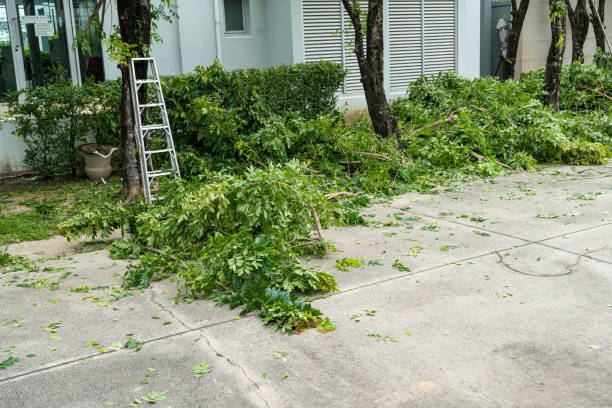 Best Emergency Tree Removal Services  in Plum, PA